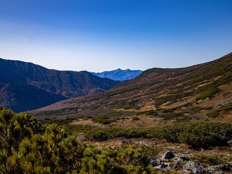 8 мест в России, куда приезжают туристы со всего мира