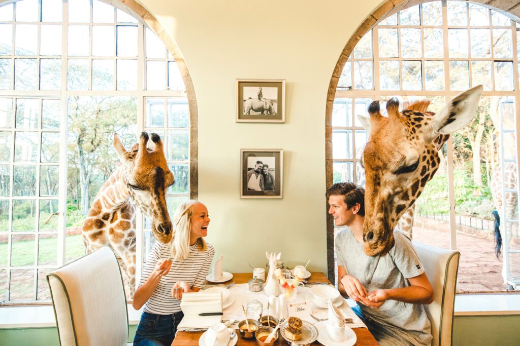 Отель с жирафами в Кении Giraffe Manor - Журнал Виасан
