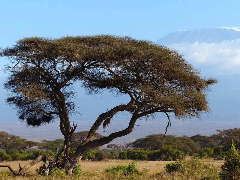 10 причин как можно скорее побывать в Танзании