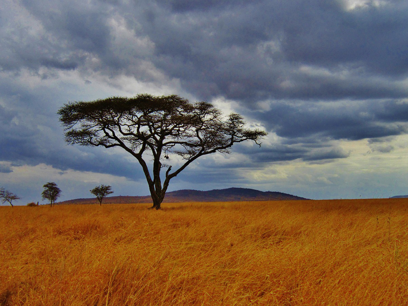 10 причин как можно скорее побывать в Танзании - Журнал Виасан