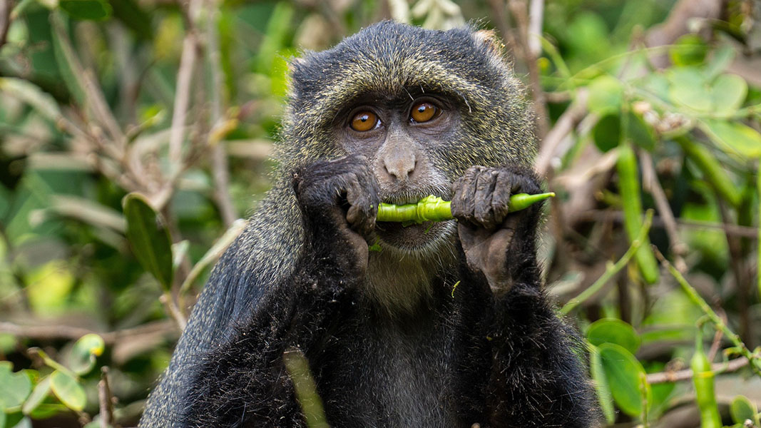 10 причин как можно скорее побывать в Танзании