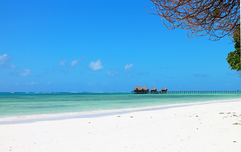 10 причин как можно скорее побывать в Танзании