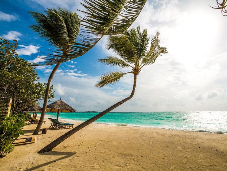 Вместо Турции: стоит ли летом ехать на Мальдивы?