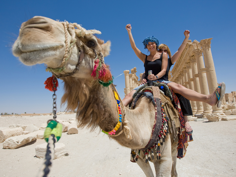Чартеры в Египет разрешены: когда полетят первые рейсы и что это означает для туристов - Журнал Виасан