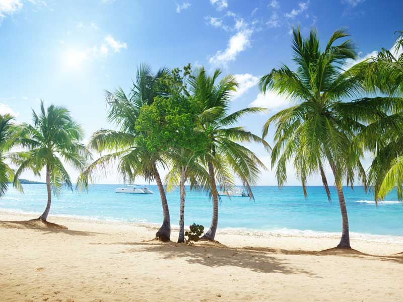 Отдых в Доминикане: курорты, экскурсии, климат, цены, кухня