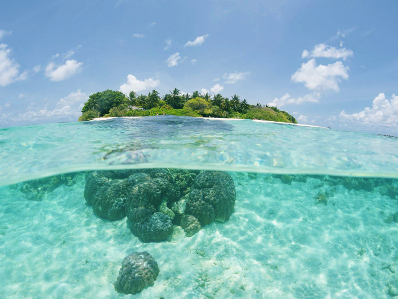 Отели с домашним рифом на Мальдивах — выбор Viasun
