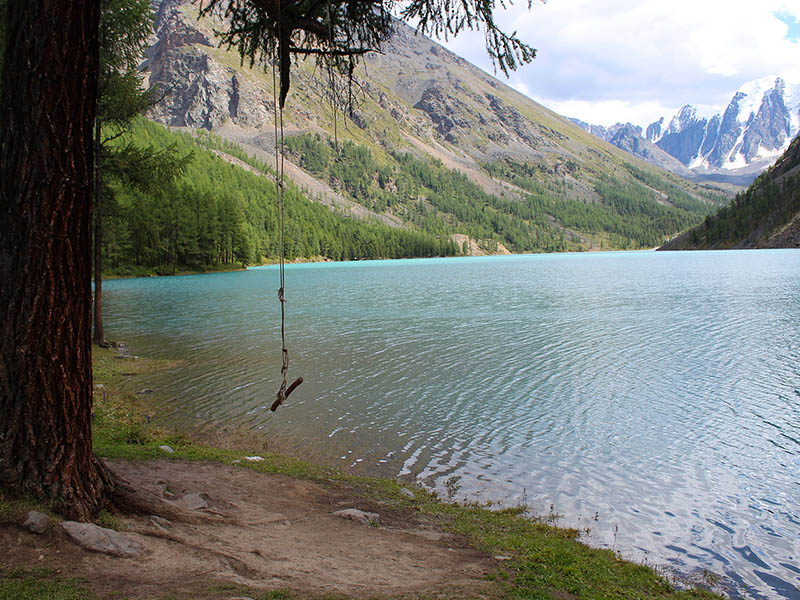 Отдых на Алтае: отправиться на экскурсию к Телецкому озеру, покорить гору Белуху, вдоволь надышаться свежим горным воздухом