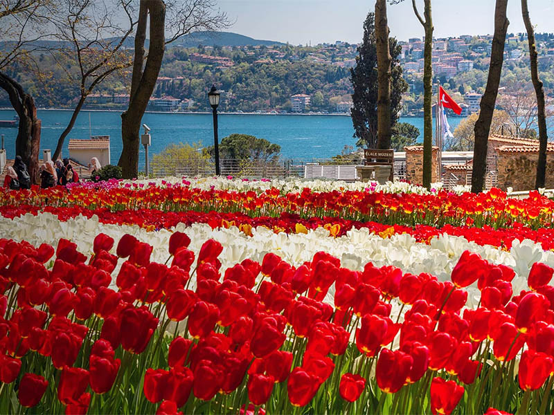 12 причин посетить Стамбул в любое время года