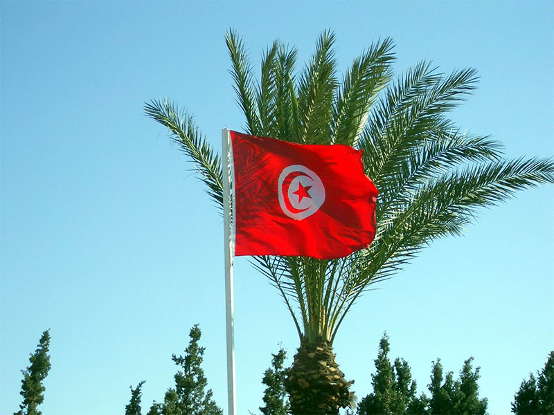 Возобновилось прямое авиасообщение с Тунисом. Актуальные правила въезда - Журнал Виасан