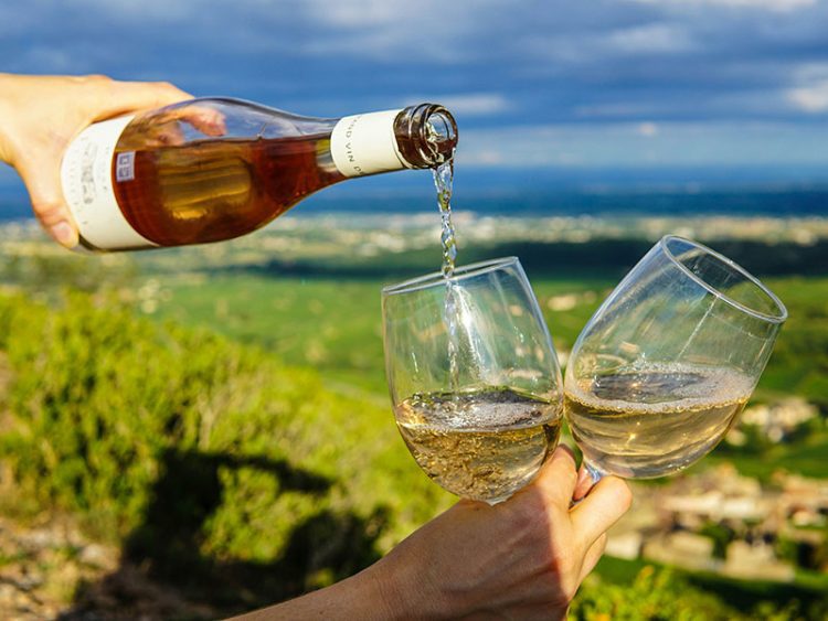 Винный тур в Новороссийск: погрузитесь в атмосферу виноделия и насладитесь лучшими сортами местных вин