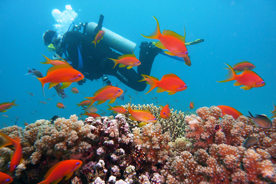 Куда поехать в ноябре: 15 стран, где можно отлично отдохнуть в последний месяц осени