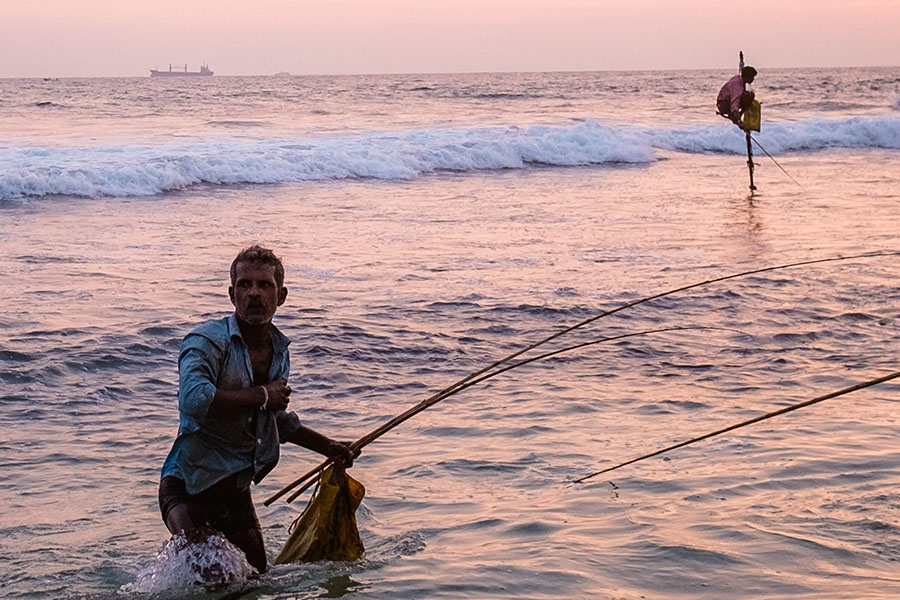 Унаватуна: находка для тех, кто грезит о райском отдыхе на Шри-Ланке
