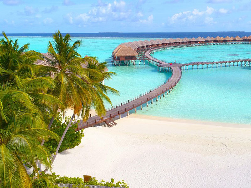 16 лучших отелей на Мальдивах: Гарантия райского отпуска