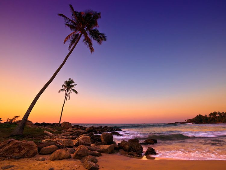 Хиккадува: море, пляж, дайвинг и волшебная природа Шри-Ланки