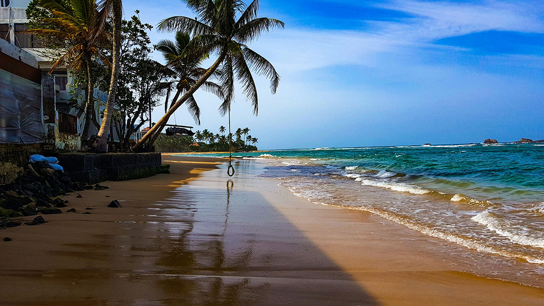 Хиккадува: море, пляж, дайвинг и волшебная природа Шри-Ланки