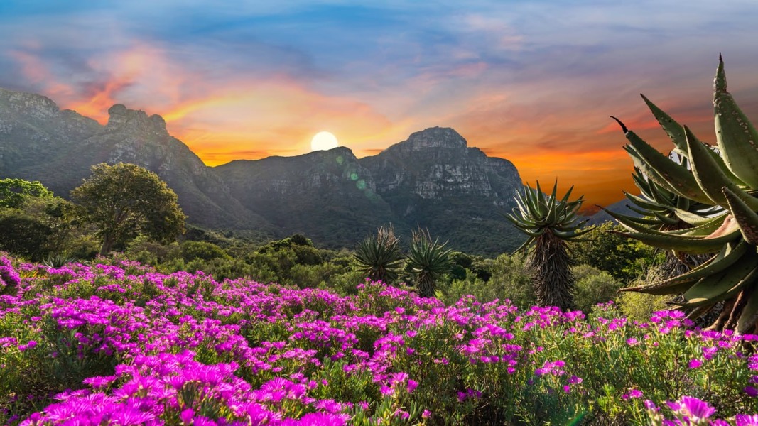Южная Африка, встречай: авторский тур в Кейптаун