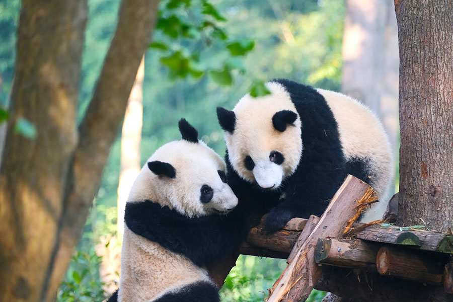 Китай в мае: время путешествий без границ