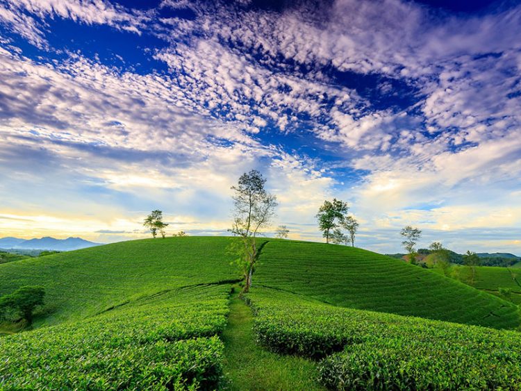 Вьетнам в мае: куда ехать за пляжной погодой, теплым морем и супом фо